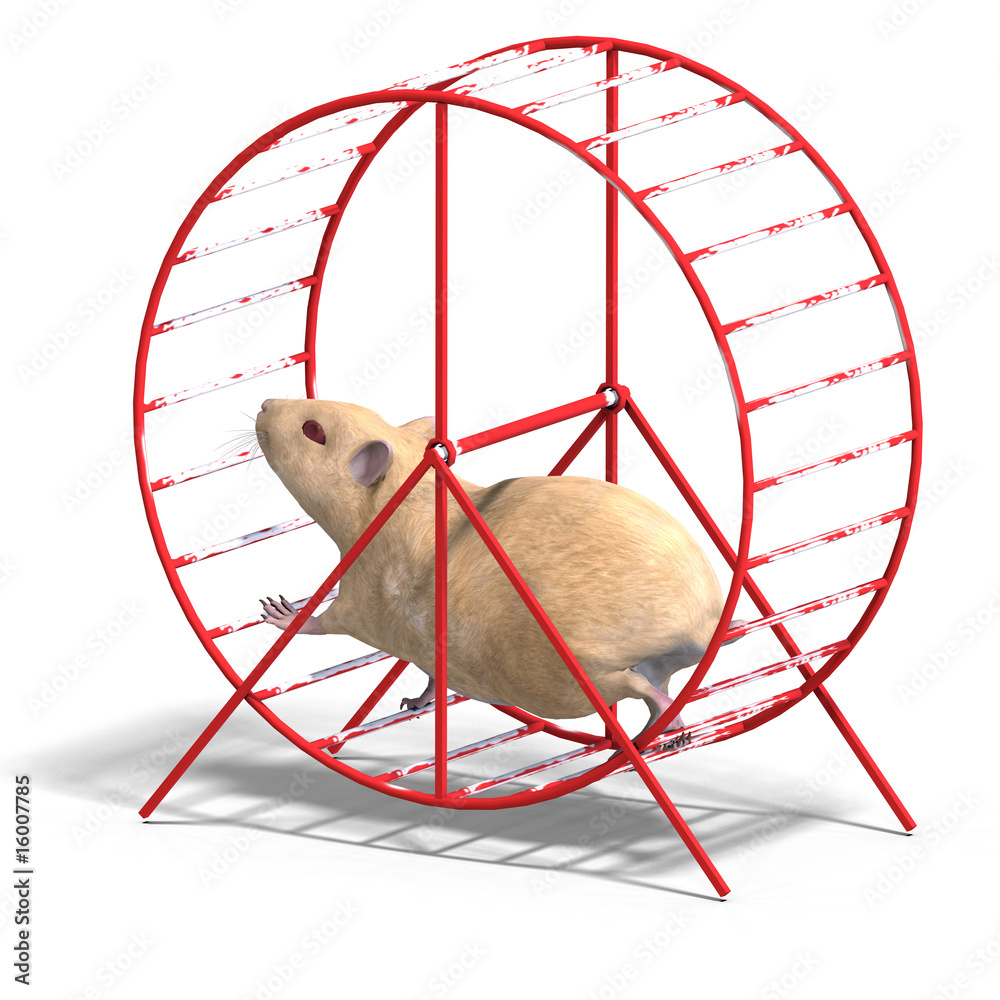 Fotografie cute hamster in a hamster wheel