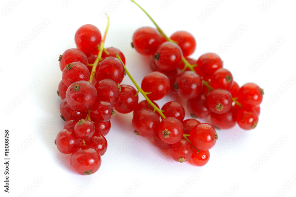 red currant