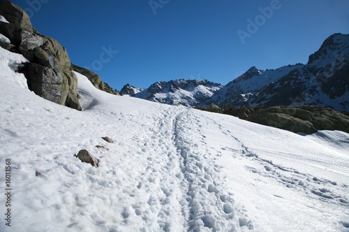 lonely snow path