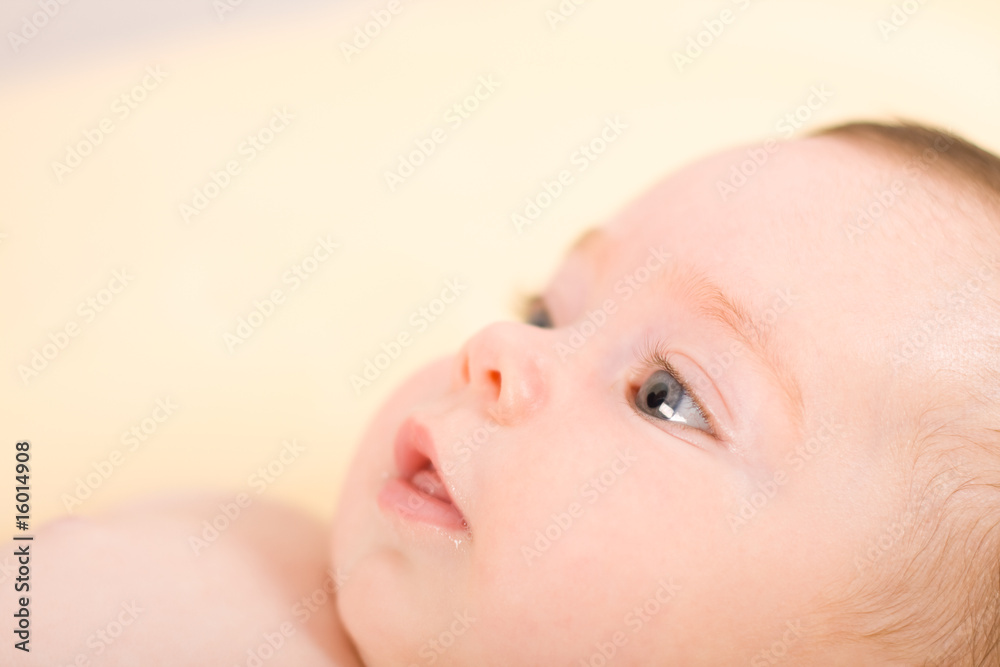 Newborn Newborn