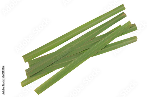 Green grass herb. Clipping path