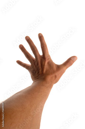 la main en opposition