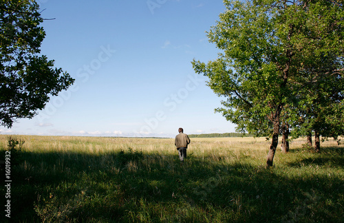 Fototapeta Naklejka Na Ścianę i Meble -  man leaves in the field