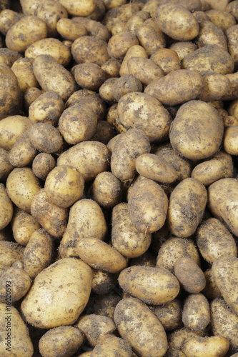 Potatoes