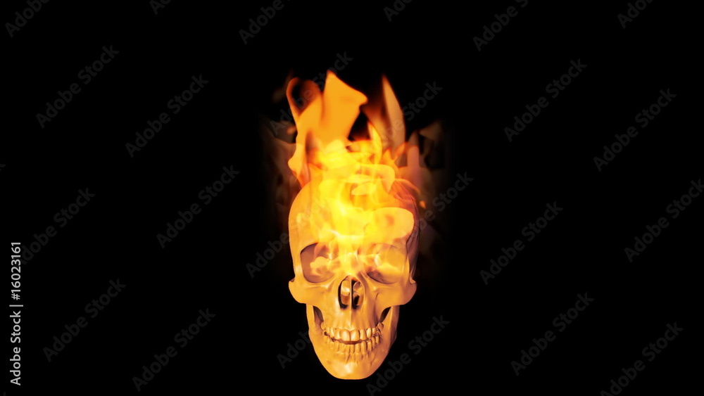 Skull on fire