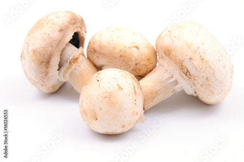 Fresh mushrooms