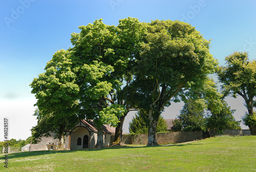 Canvas-taulu Chapelle Sainte Germaine, Bar sur Aube