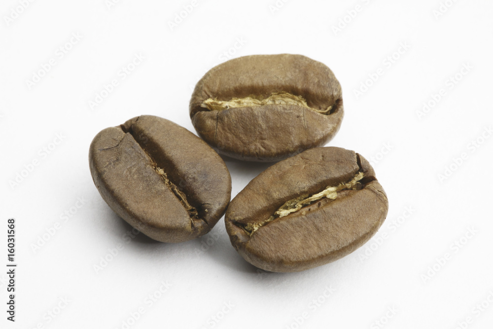 コーヒー豆 コーヒー豆