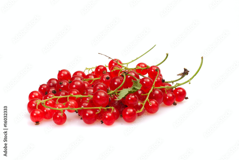 red currant