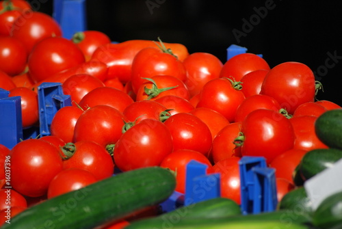 Tomaten photo