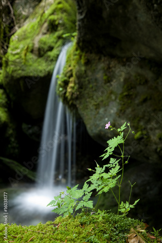 Kleiner Wasserfall