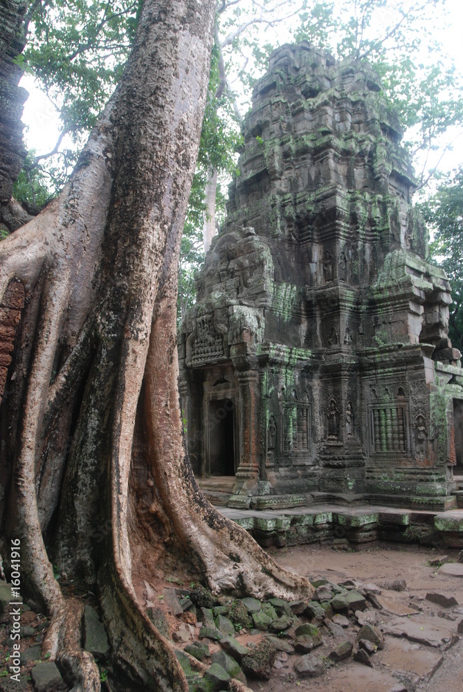 Temple Khmer, Ta Phrom