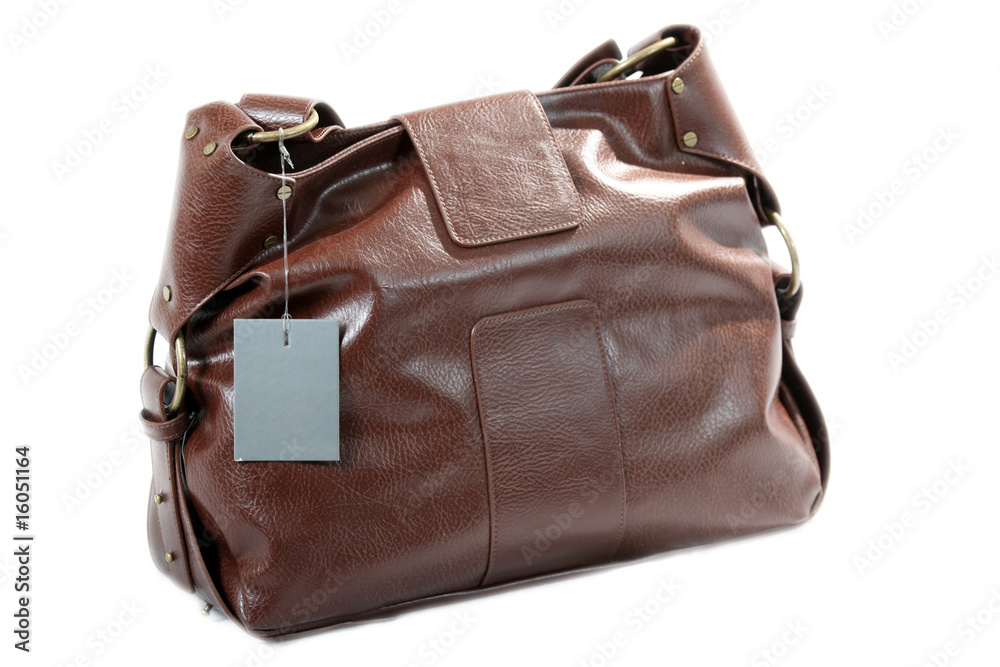 Naklejka premium Luxury Hand Bag / Purse