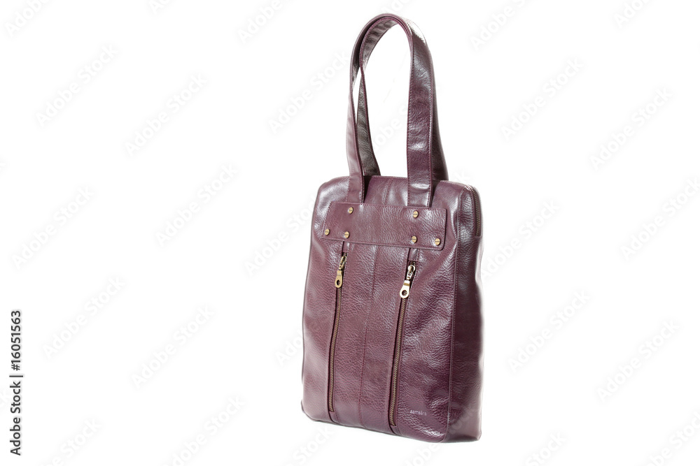 Luxury Hand Bag / Purse