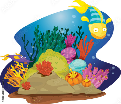 Fish and weed