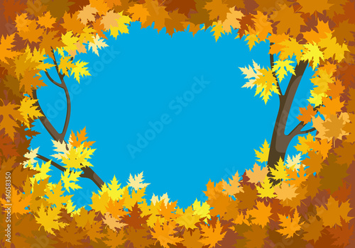 Autumn leaves against blue sky