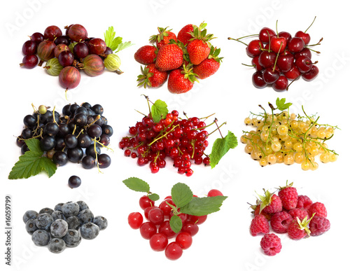 Set of berries