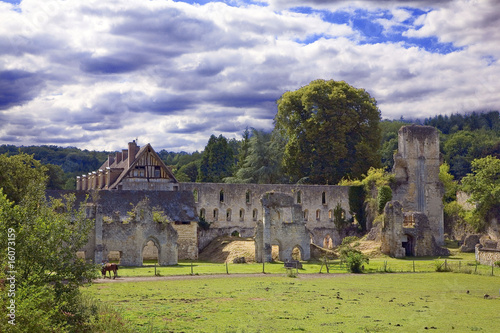 france,normandie : abbaye de mortemer