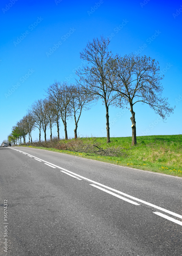 Fototapeta premium Empty road