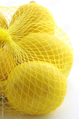 Limoni nella retina photo