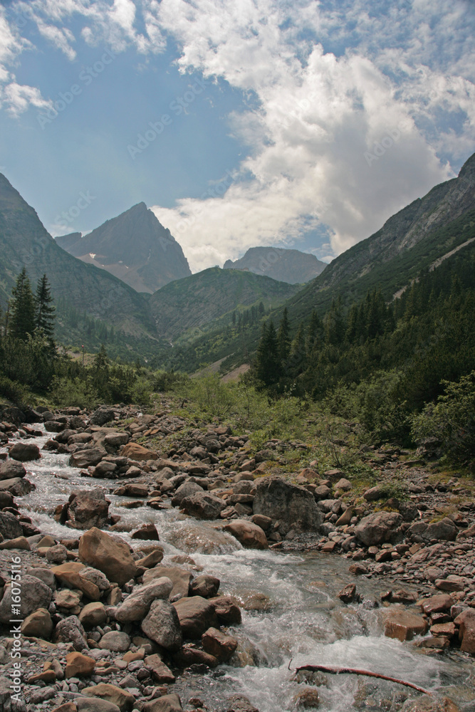 Obraz premium Gebirgsbach