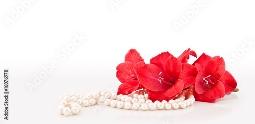 Branch of beautiful flowers and necklace from pearls