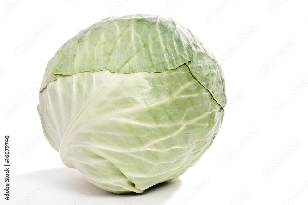 Obraz premium Cabbage