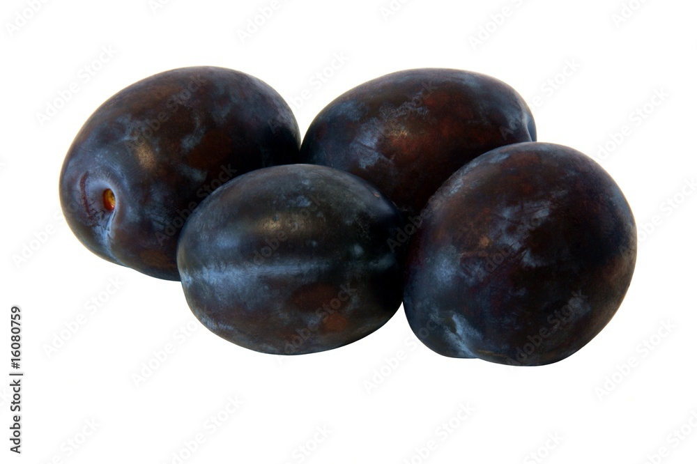 Blaue Pflaumen Blaue Pflaumen