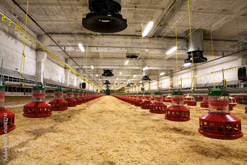 Εκτύπωση καμβά poultry farm