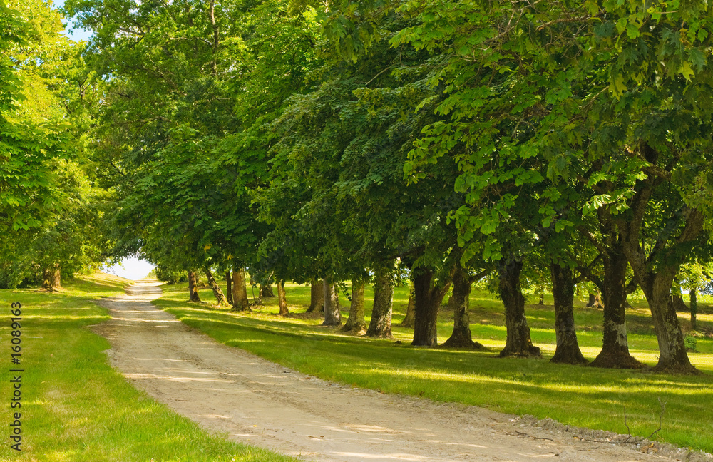 green alley