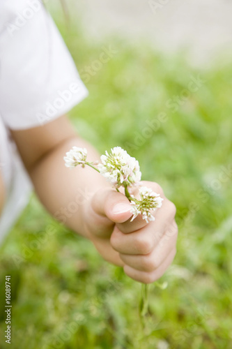 花を摘む女の子の手元