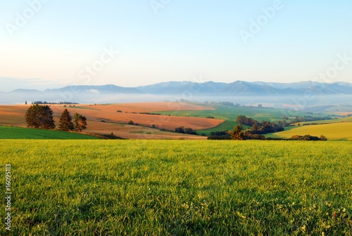 summer morning on meadows