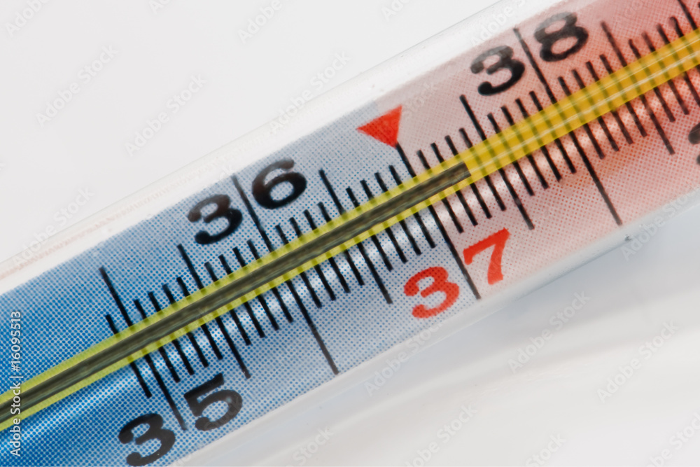thermometer thermometer