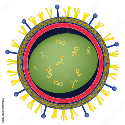 Virus