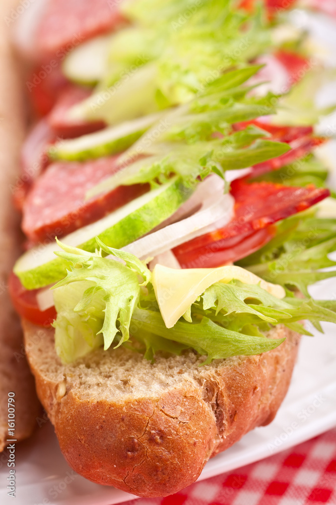 sandwich with meat,vegetables and cheese sandwich with meat,vegetables and cheese