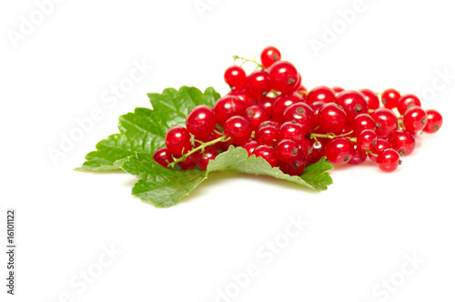 Fresh red currant on a white.