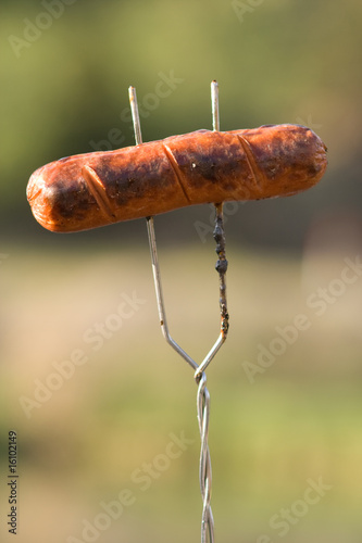 Grilled Hot dog