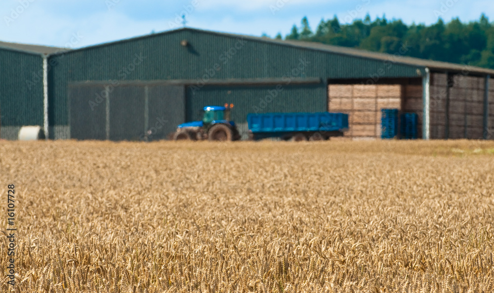 Obraz premium Farm Land