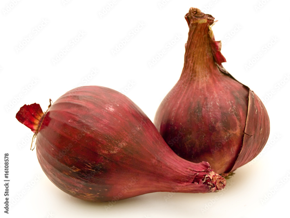 Fototapeta premium red onion