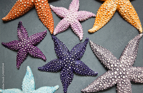 Decoration Starfish