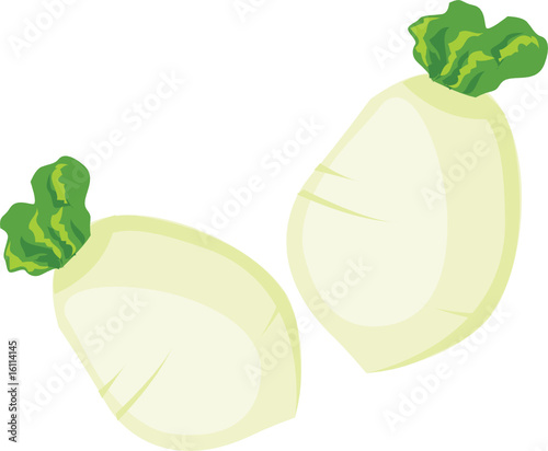 white radish