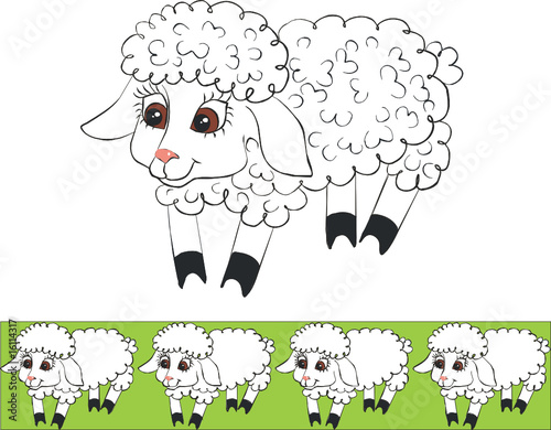 Lamb color 01
