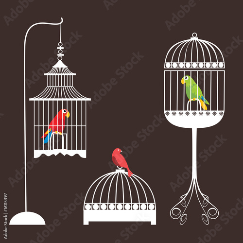Birdcage Set (macaw)