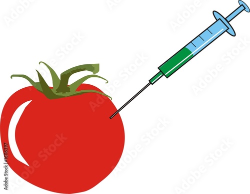Gen-Tomate