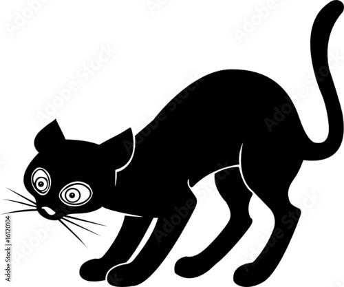black cat