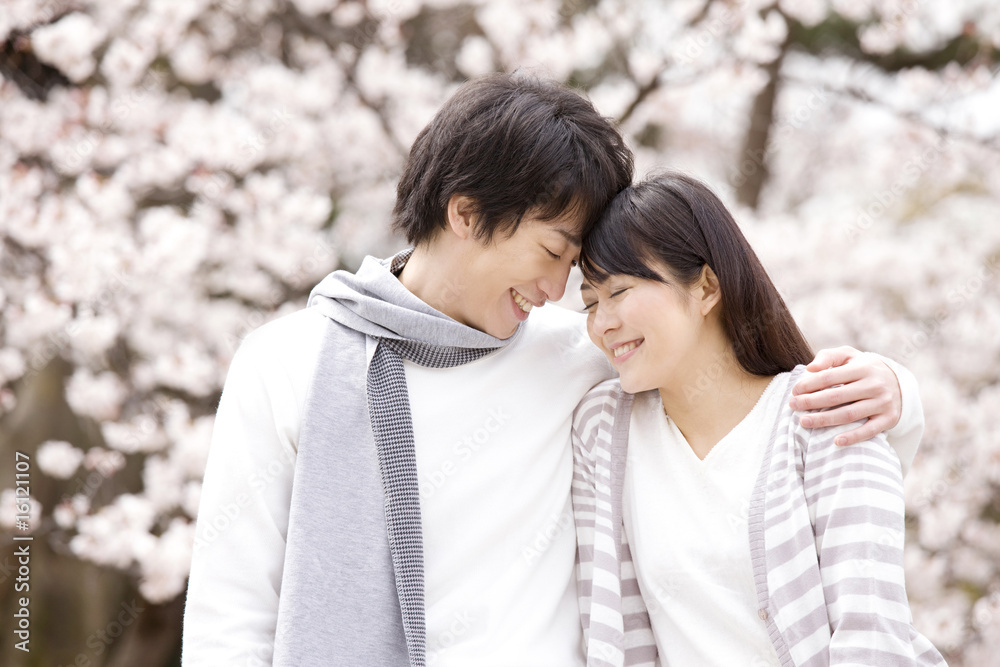 花見をするカップル 花見をするカップル
