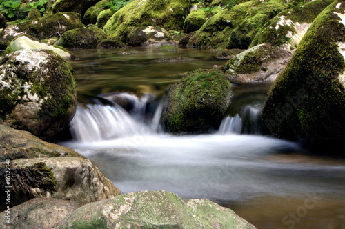 Torrente di montagna