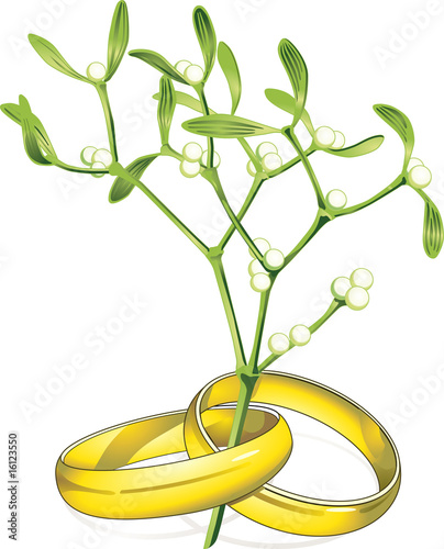 mistel-ringe