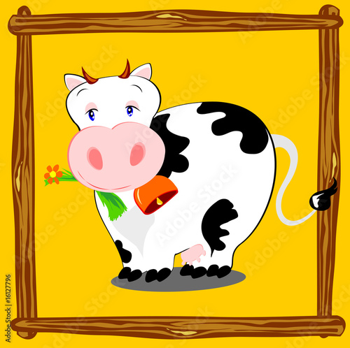 Mucca