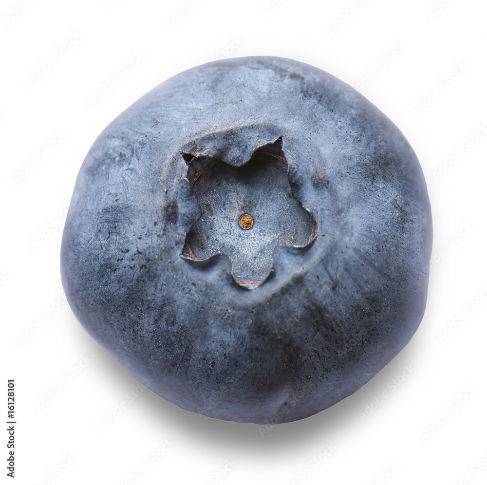 Delicious blueberry isolated on white background Delicious blueberry isolated on white background